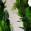 Thumbnail: Side view of preserved moss detailing on round mirror