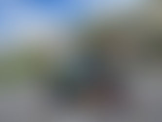 La missione (quasi legale) del sindaco A. Roncardi - US26