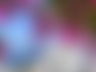 7月のお知らせ(サイトの更新情報・メンテナンス情報など)