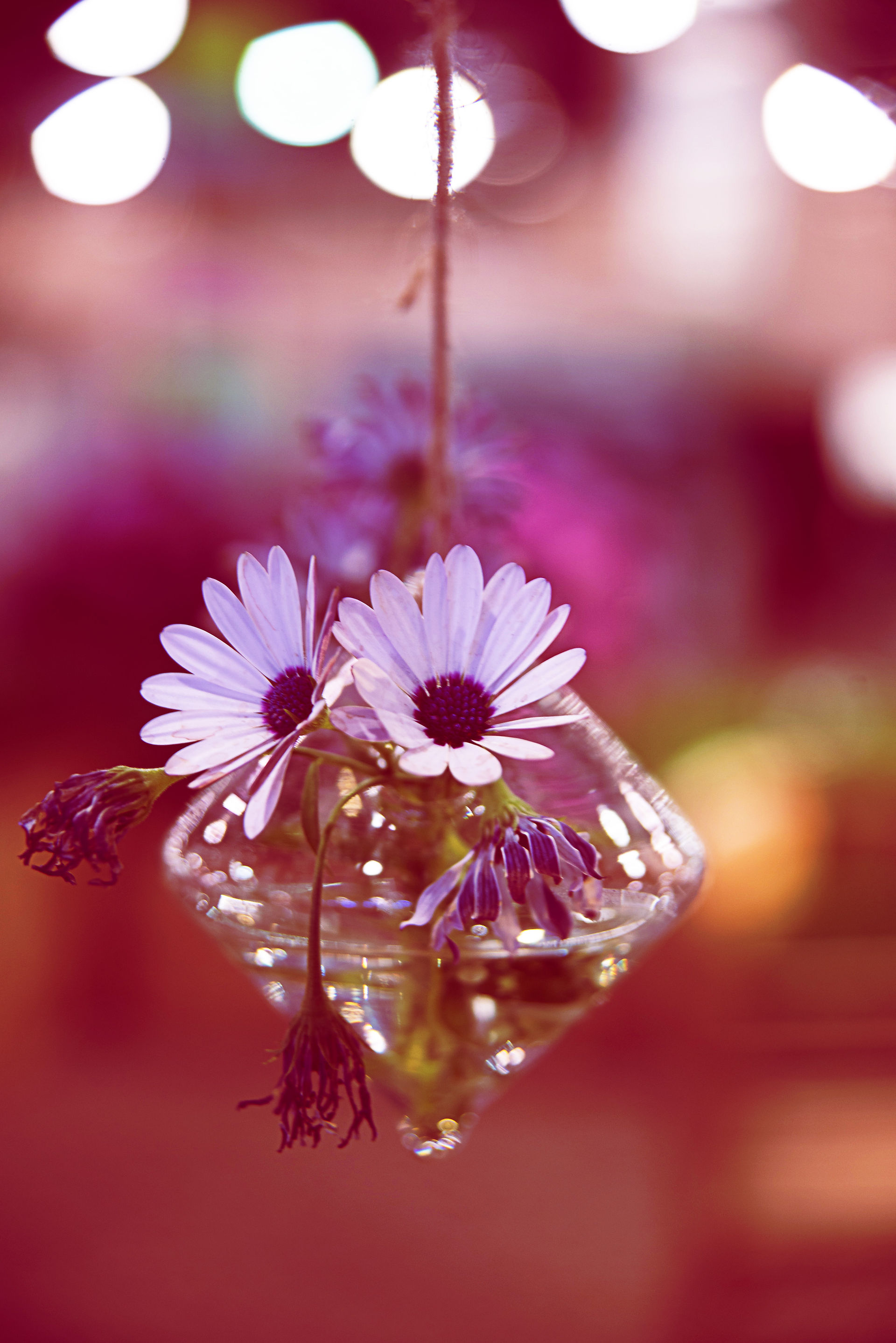 Creativeworkz Photography-9265s