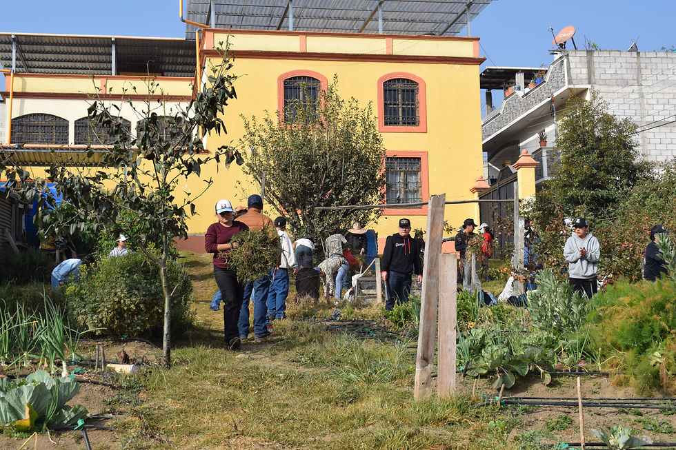 Informe Anual 2025 - Agricultura