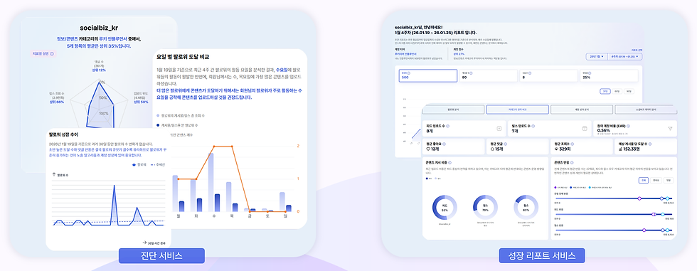 소셜비즈 인사이트 서비스 - 진단 서비스 / 성장 리포트 서비스