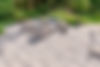 316415172_126037403627661_93243553258965435_n.jpg