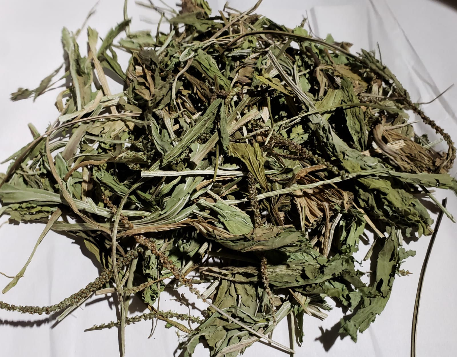 LLANTEN HIERBA 1 LB EXPECTORANTE DIURETICO DESINFLAMANTE DIGESTIVO 100% NATURAL