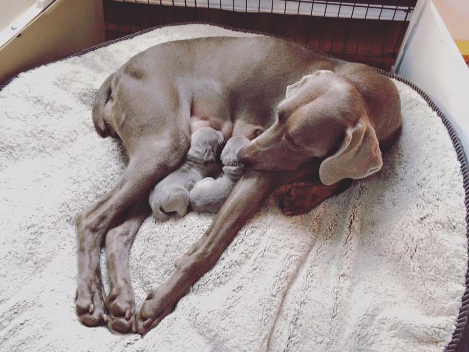 Table For Two, 4 days old