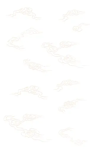 White-Background-2.webp