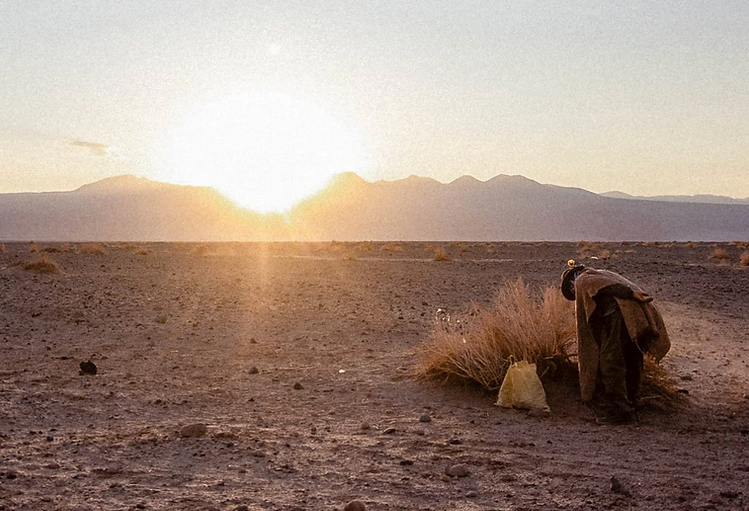 Capture d’écran 2026-04-27 à 11.40.35.png