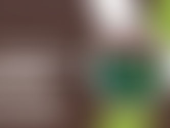 Commercial Junk Removal in Lake Nona: Keep Offices Clean