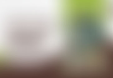 Garage Cleanup Harmony Tips for an Organized Garage Space