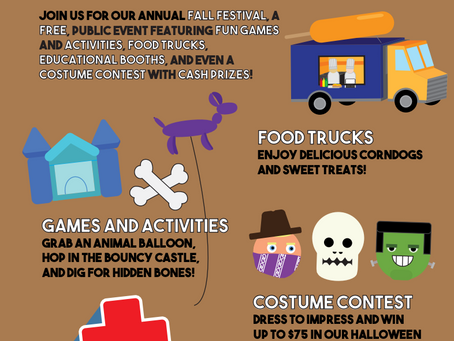Fall Festival 2022