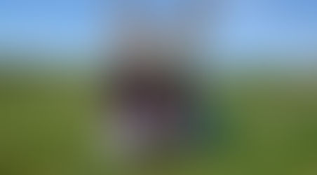 桜🌸　のシーズン　終焉です。