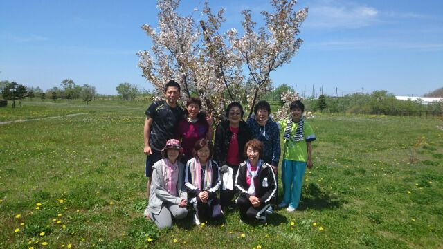 桜🌸 のシーズン 終焉です。