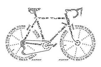 bicycle club, cycling, club rides,
