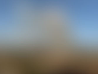 Minas Gerais registra várias ocorrências de incêndio no mês de julho