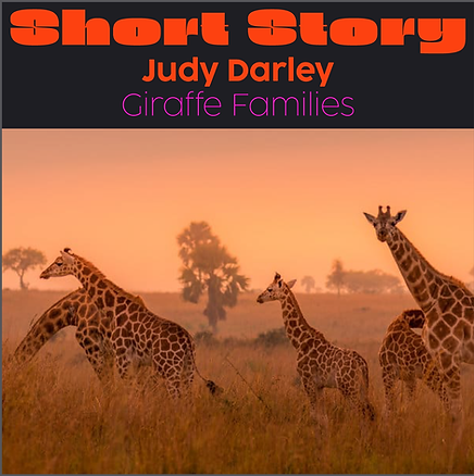 belonging_tiles_5 Judy Darley.png