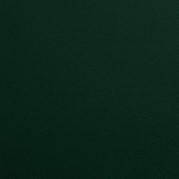 Green back ground.png