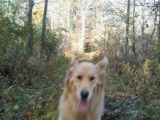 Summer Is Almost Here!