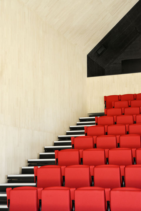 SOM_©Guillaume_AMAT_Bosco_24