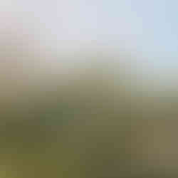 GNY_Crèche 60 berceaux