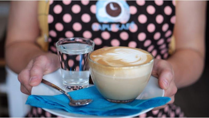 체코 공화국, EoC-iin(International Incubating Network - 국제 인큐베이팅 네트워크): PAPU kafé(파푸 카페), 실현된 꿈