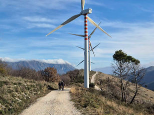 Pale, patate e provola