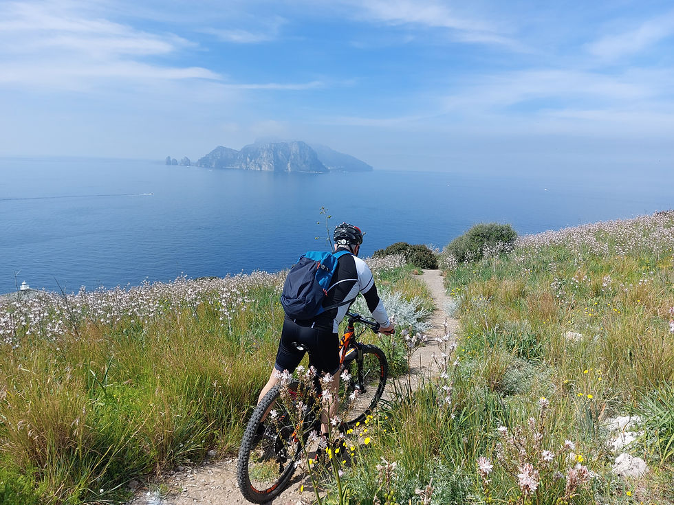 Campanella, forever young