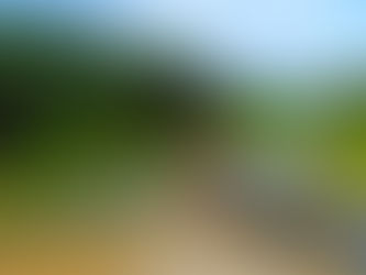 La diaspora sul Partenio