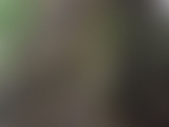 I canyon di Roccamonfina