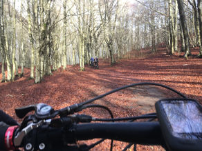 La lunga discesa di Montevergine