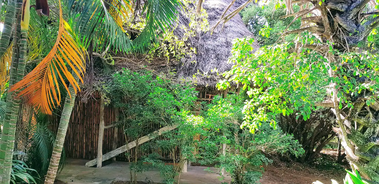 kenya 8.webp