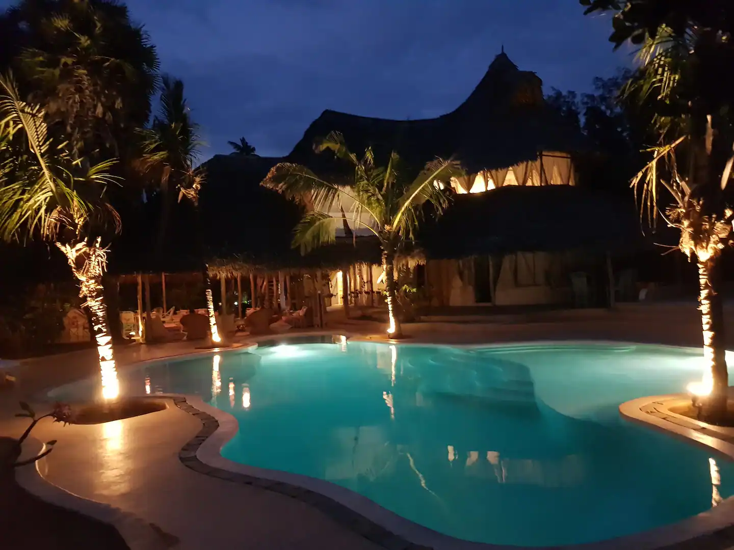 kenya 24.webp