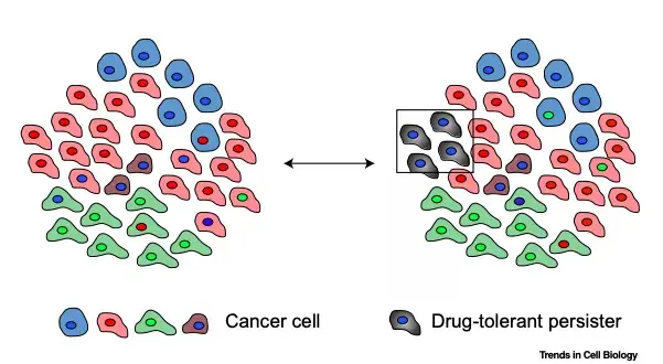 Darwinian Evolution and Cancer Treatment