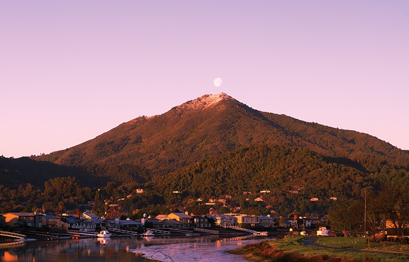 mt tam