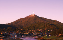 mt tam