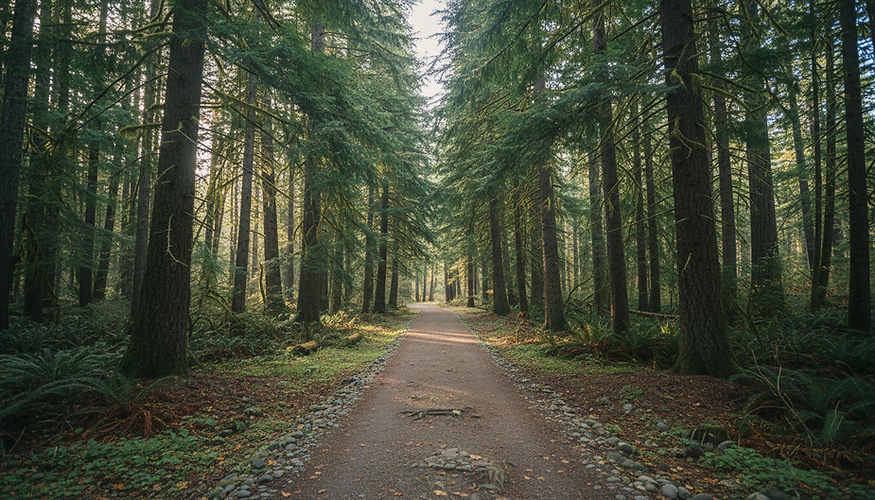 -post-ai-image-9215.zyvoh2hv8fuibd2c6i1v2sid2e3nebwptaykkul84km.png