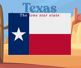 Texas wix.png