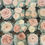 Thumbnail: Rose Cupcakes