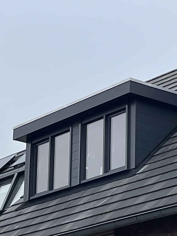 Dakkapel reinigen Alblasserdam