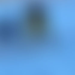 U15 der Silz Bulls trotz deutlicher Überlegenheit knapp geschlagen