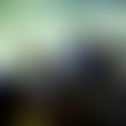 Was für ein Abend – Silz Bulls holen Titel in der Overtime