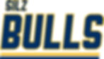 SILZ BULLS Logo ny.jpg