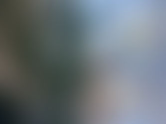 Could This Be ADHD? A Self Reflection Quiz for Women Who Have Always Struggled Quietly