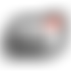 Building Momentum: Mor Media’s Start to 2026