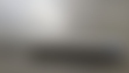 Fuel Servo Finger Filter