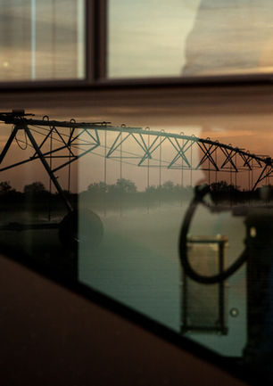 hanka sod_web photos-25.jpg