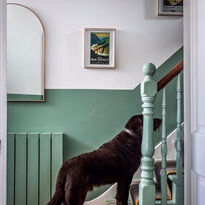 green hallway with brown dog on bottom step 
