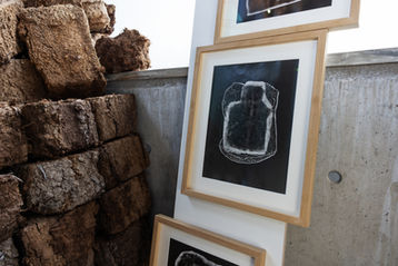 SOO_avamine_Seegis (9)