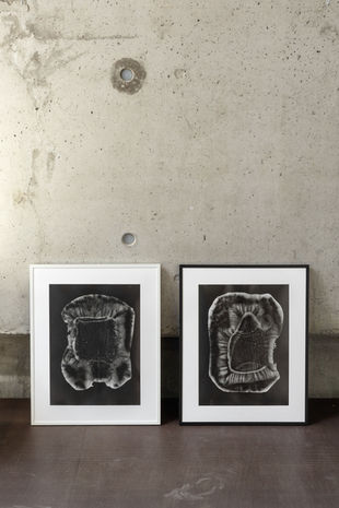 Silver gelatin photograms displayed in a gallery, made from slumped glass sculptures placed directly on photographic paper.