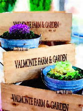 Valmonte Farm and Garden