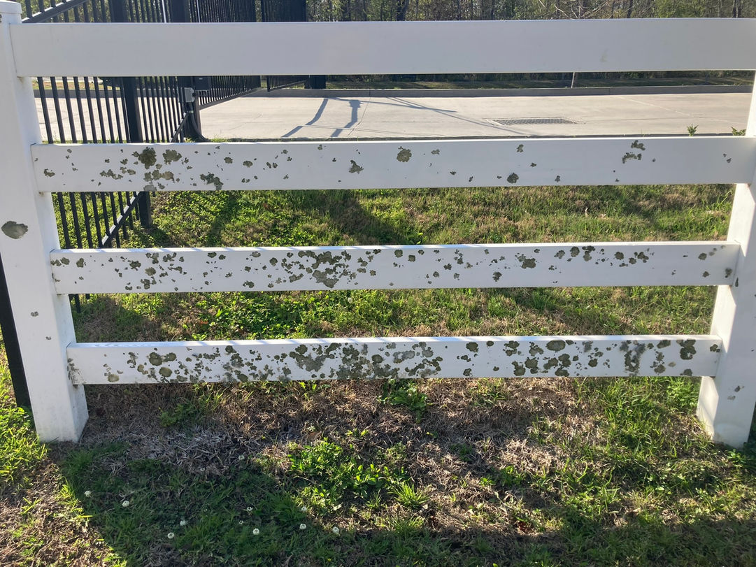 dirty white fence